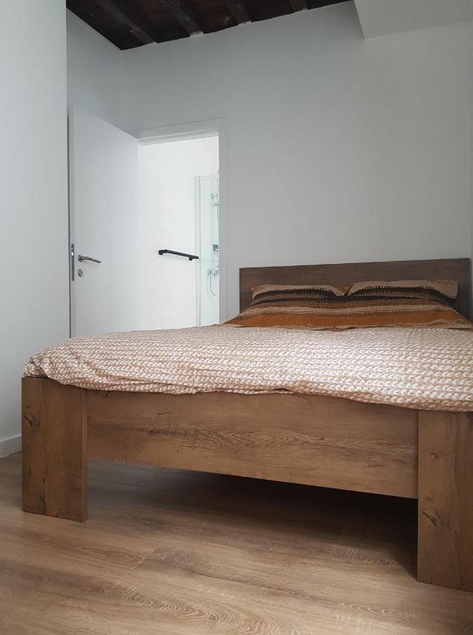 Appartement Al In Den Aap Gelogeerd? à Malines Extérieur photo